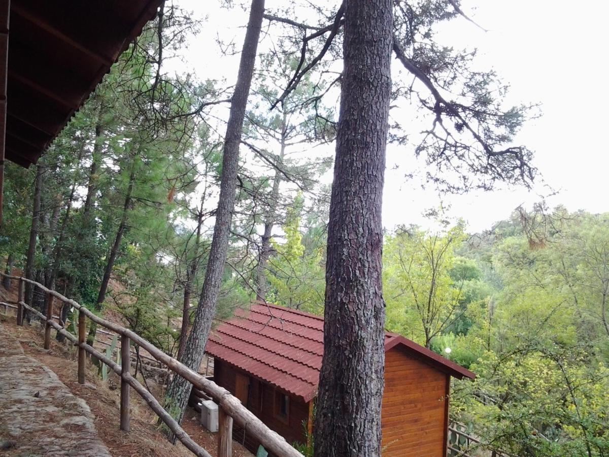 Hotel Camping La Eliza Lanzahita Exterior foto